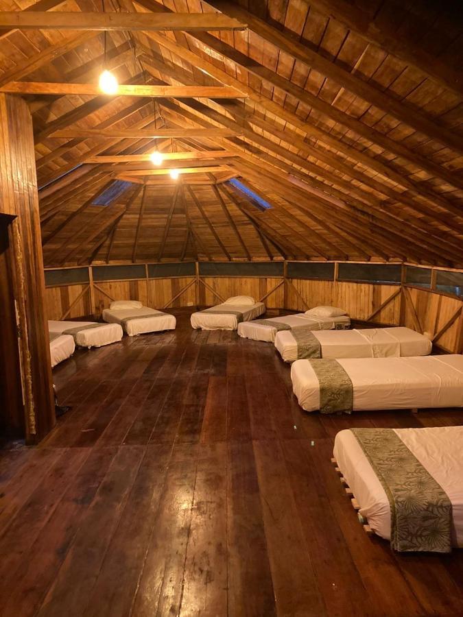 Guest House Great Hostels Amazon Puyo Exterior foto